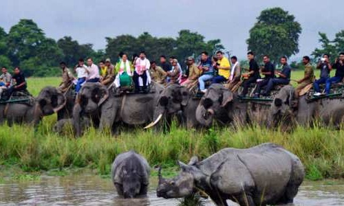 guwahati to kaziranga taxi fare